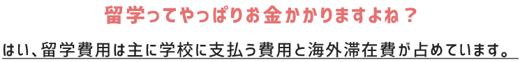 留学ってやっぱりお金かかりますよね？ はい、費用は主に学校に支払う費用と海外滞在費が占めています。