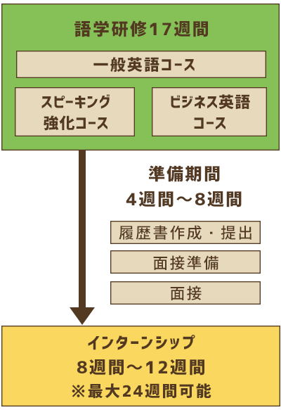 語学研修17週間：一般英語コース、スピーキング強化コース、ビジネス英語コース　| 準備期間4週間〜8週間：履歴書作成・提出、面接準備、面接　| インターンシップ8週間〜１2週間 *最大24週間可能