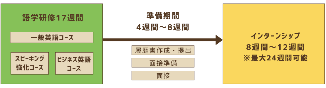 語学研修17週間：一般英語コース、スピーキング強化コース、ビジネス英語コース　| 準備期間4週間〜8週間：履歴書作成・提出、面接準備、面接　| インターンシップ8週間〜１2週間 *最大24週間可能