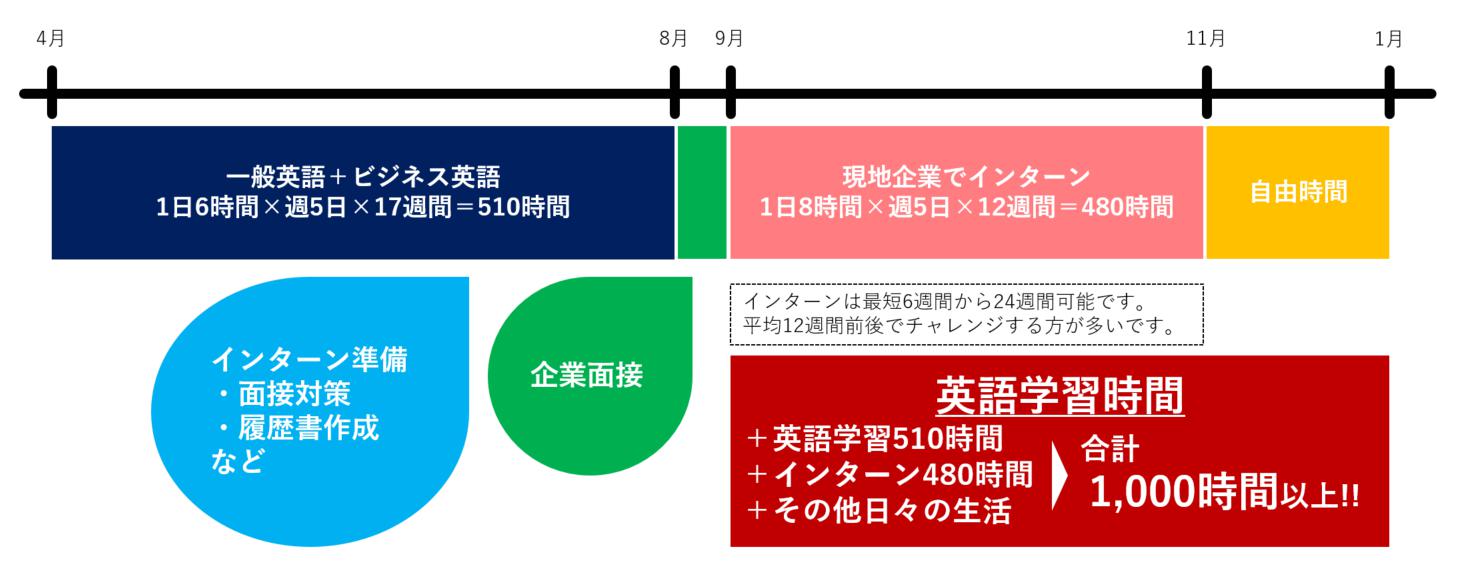 ビジネスインターンシップのスケジュール