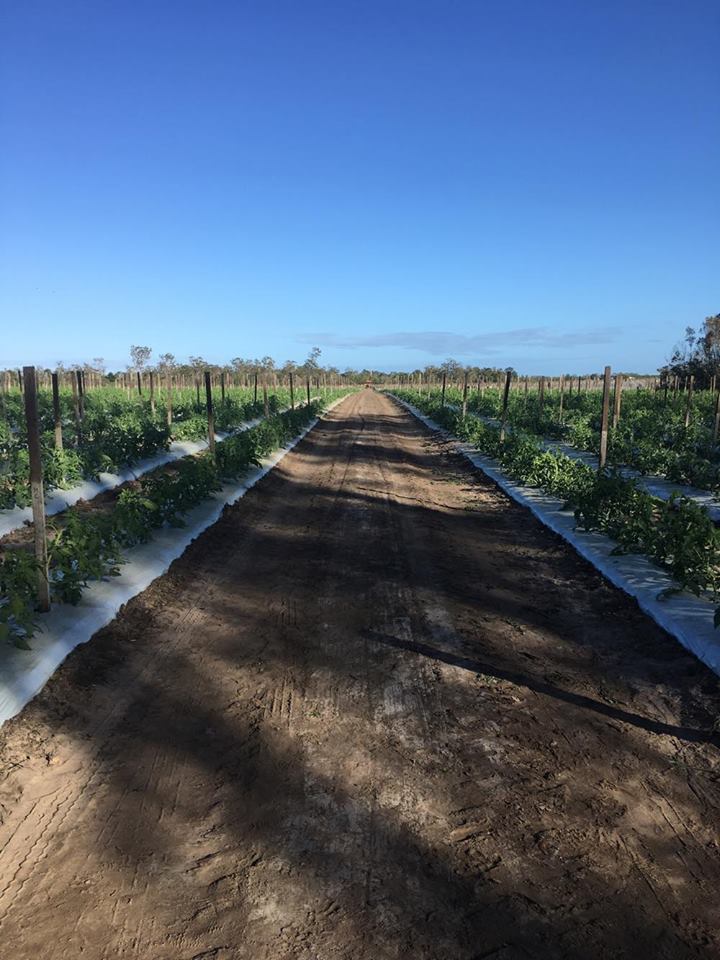 田村 桂子様22 - コピー