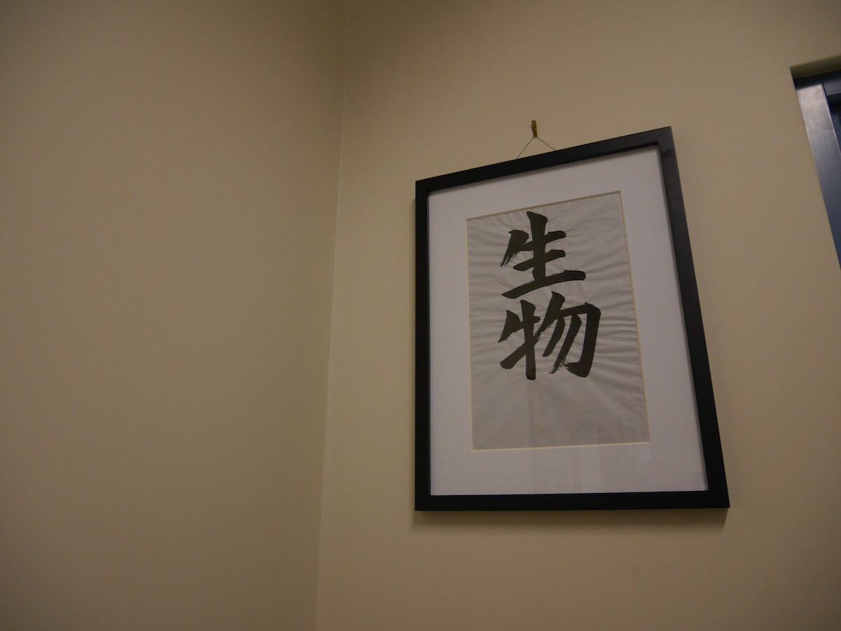 エリザベスカレッジ