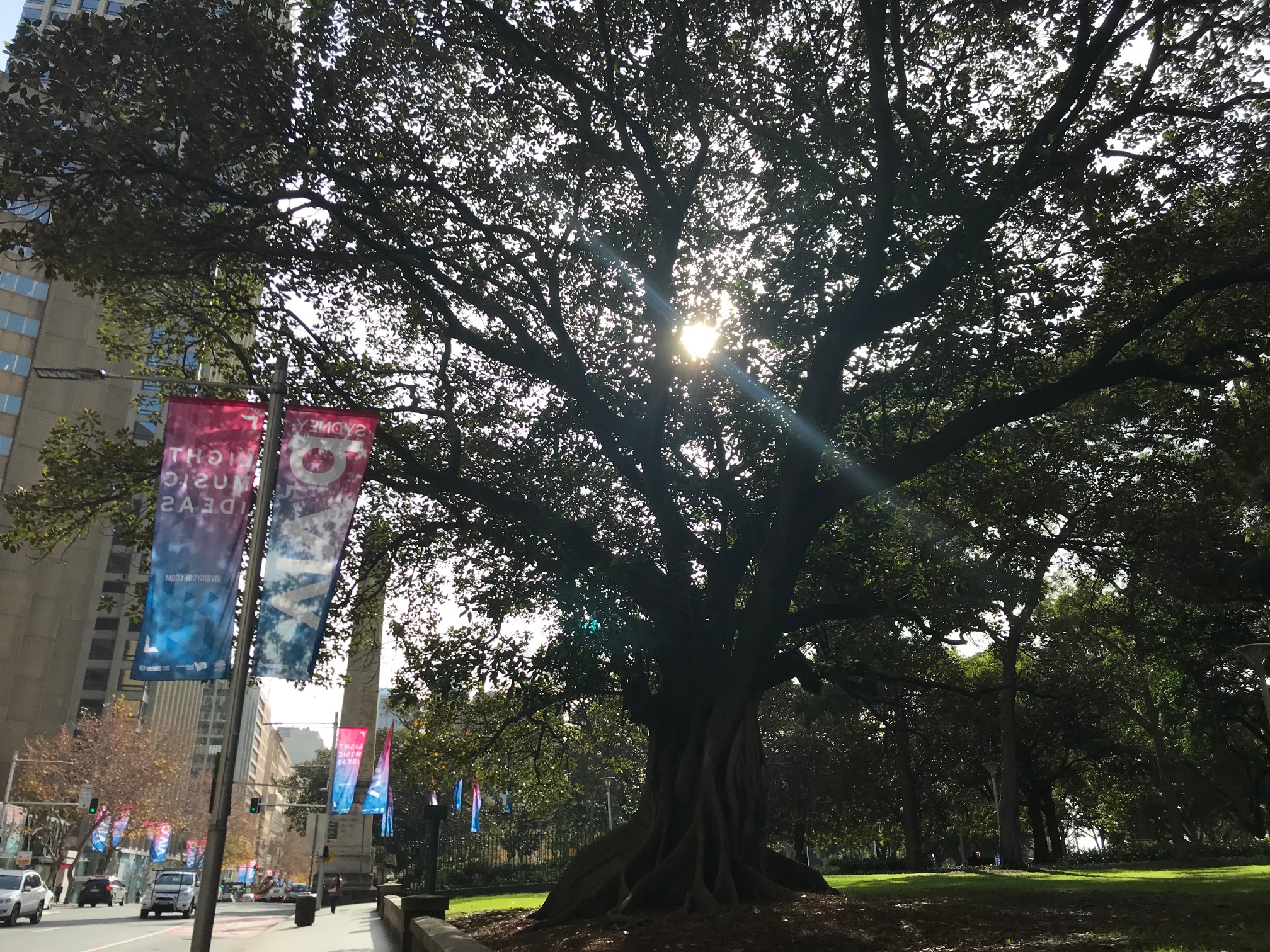 ハイドパーク近く（エリザベスストリート）