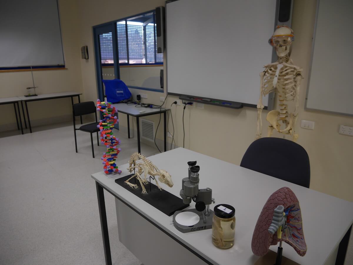 エリザベスカレッジ