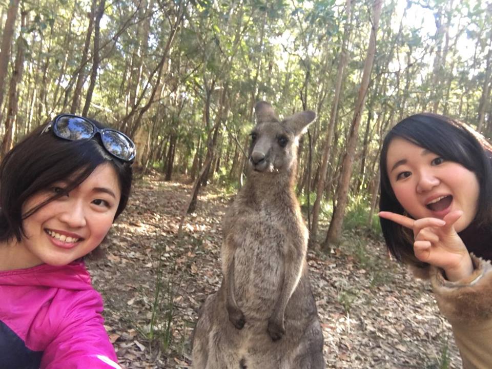 51533357_2475867059154457_1110617051698823168_n