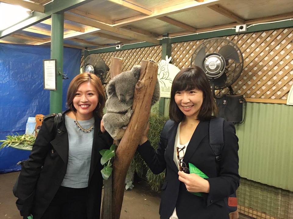 51580549_627708734337146_6703085304871387136_n