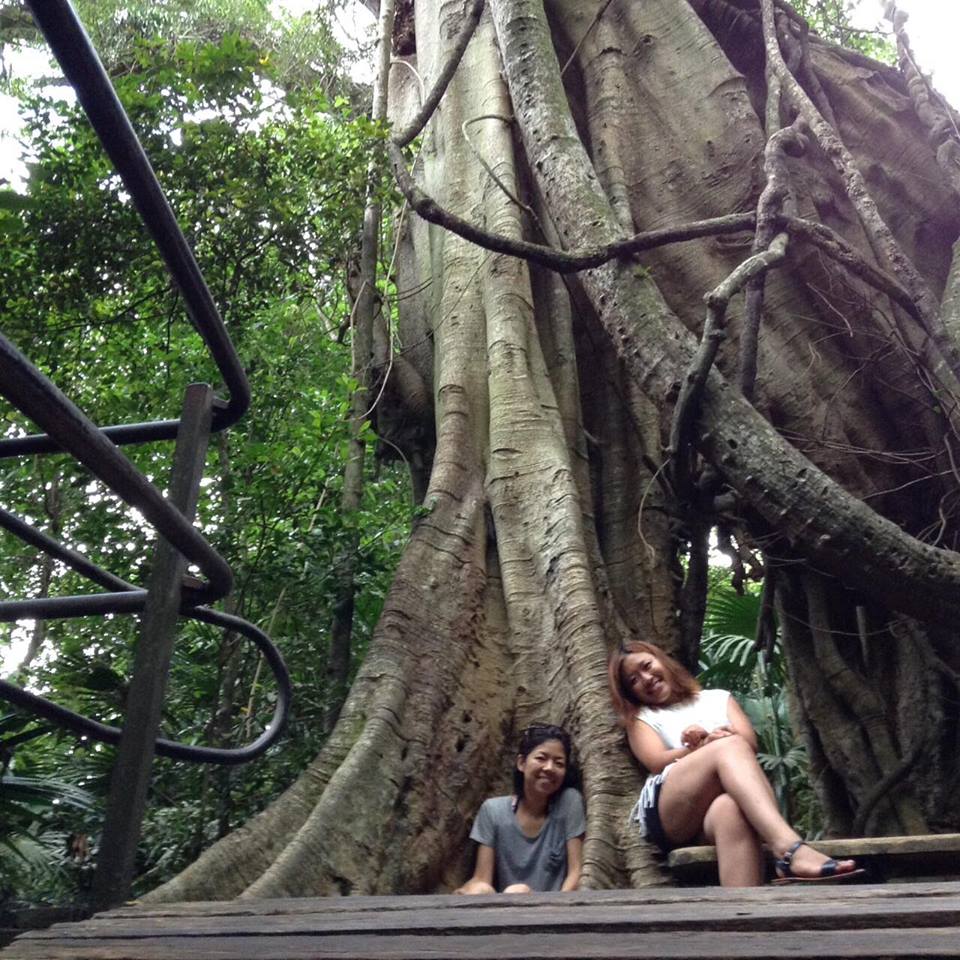 51611079_624441771320665_552757656725487616_n