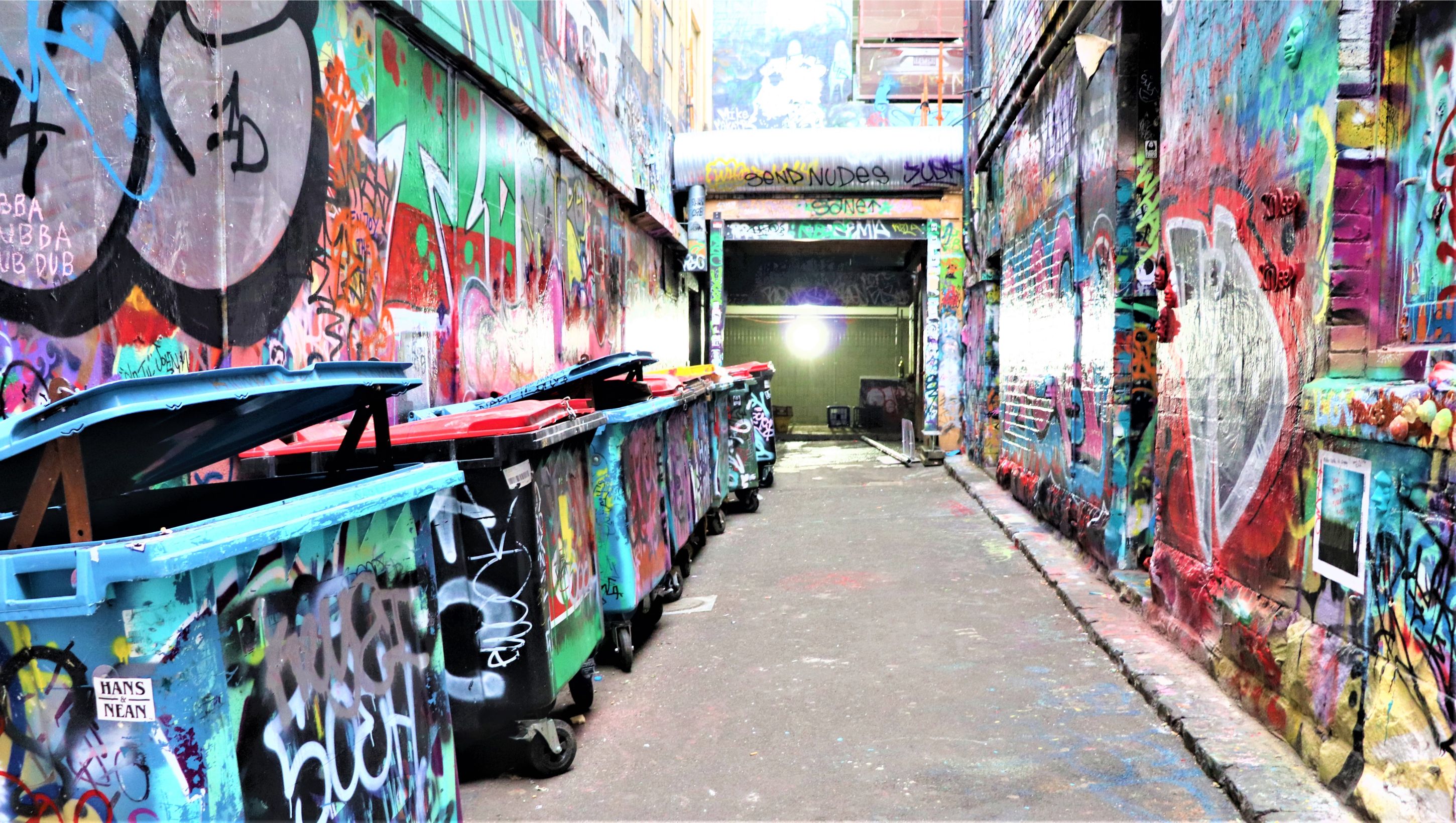 ホージアレーン4