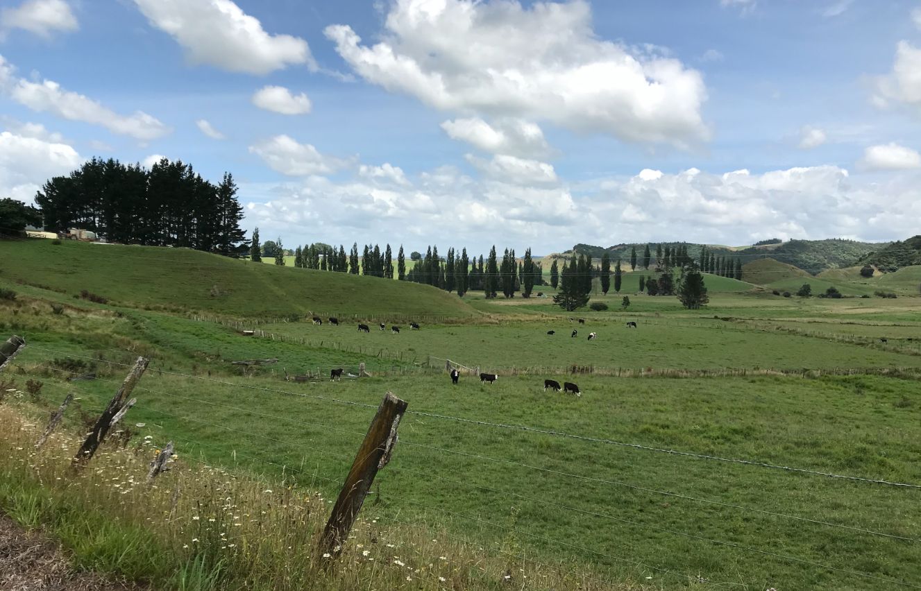 スクリーンショット 2020-12-23 午後5.17.44