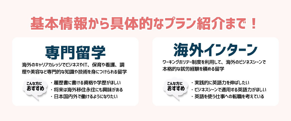 基本情報から具体的なプラン紹介まで!