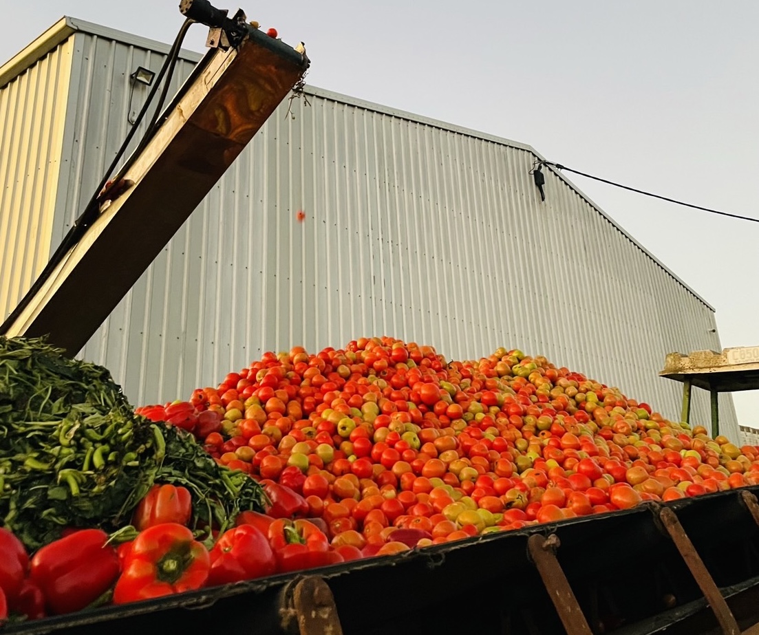 image_29581791_497058830710997110_1709101456452