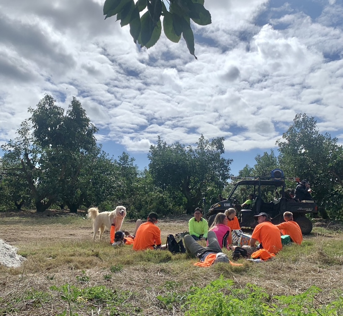 image_29581797_497058832120283219_1709101456411