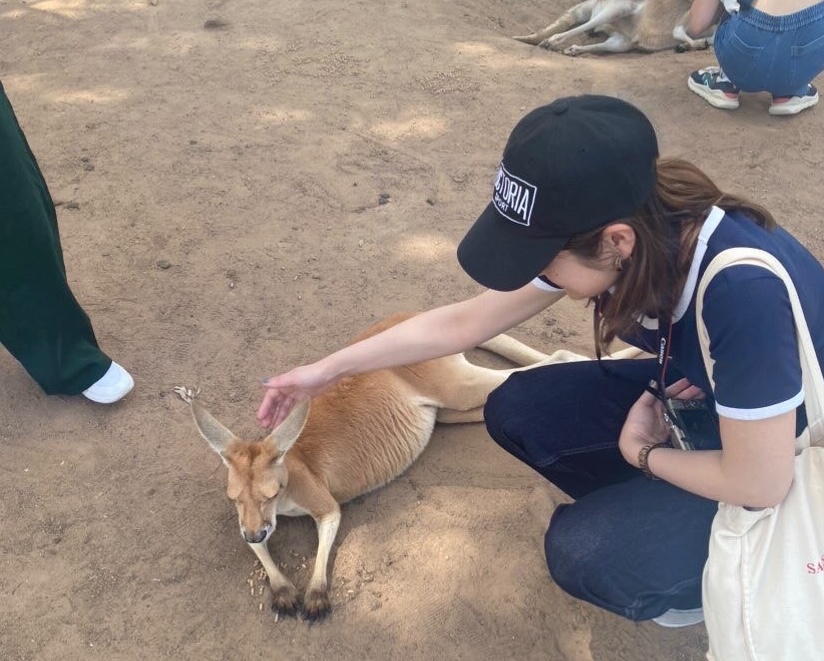 image_29581798_497058833277911382_1709101456938