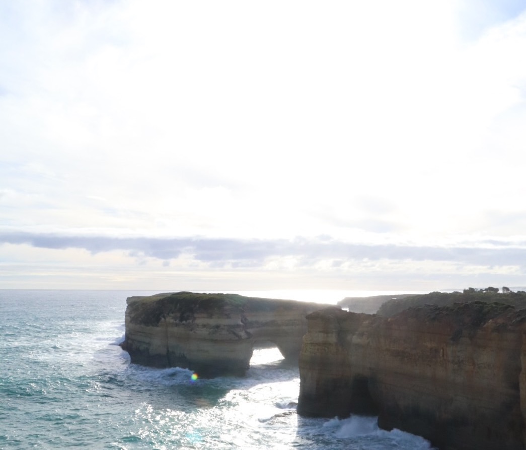 image_29581801_497058832892297314_1709101457270