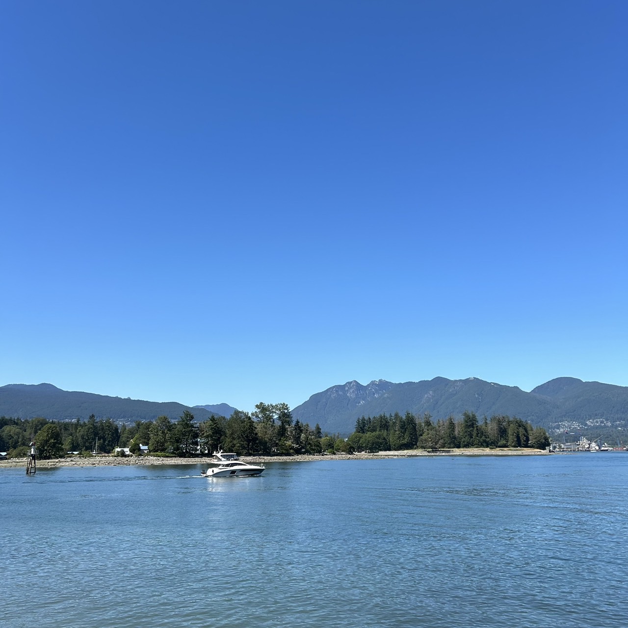 image_24403705_521972328033943608_1723951056967