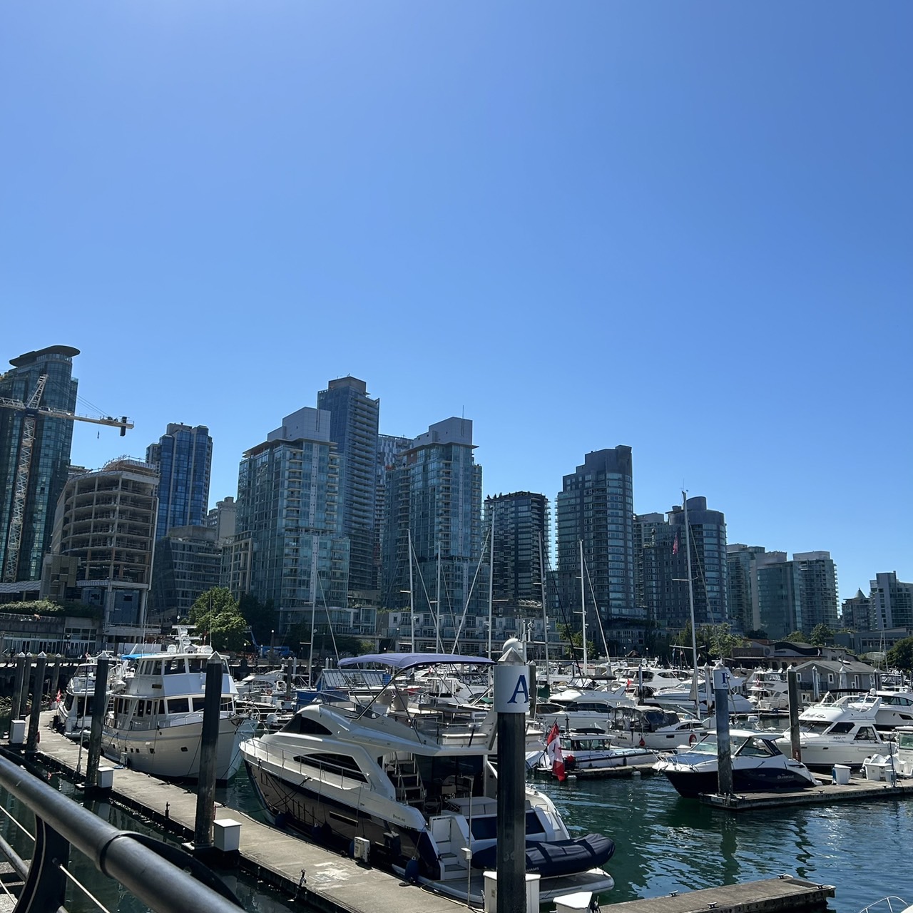 image_24403709_521972328335409607_1723951057496