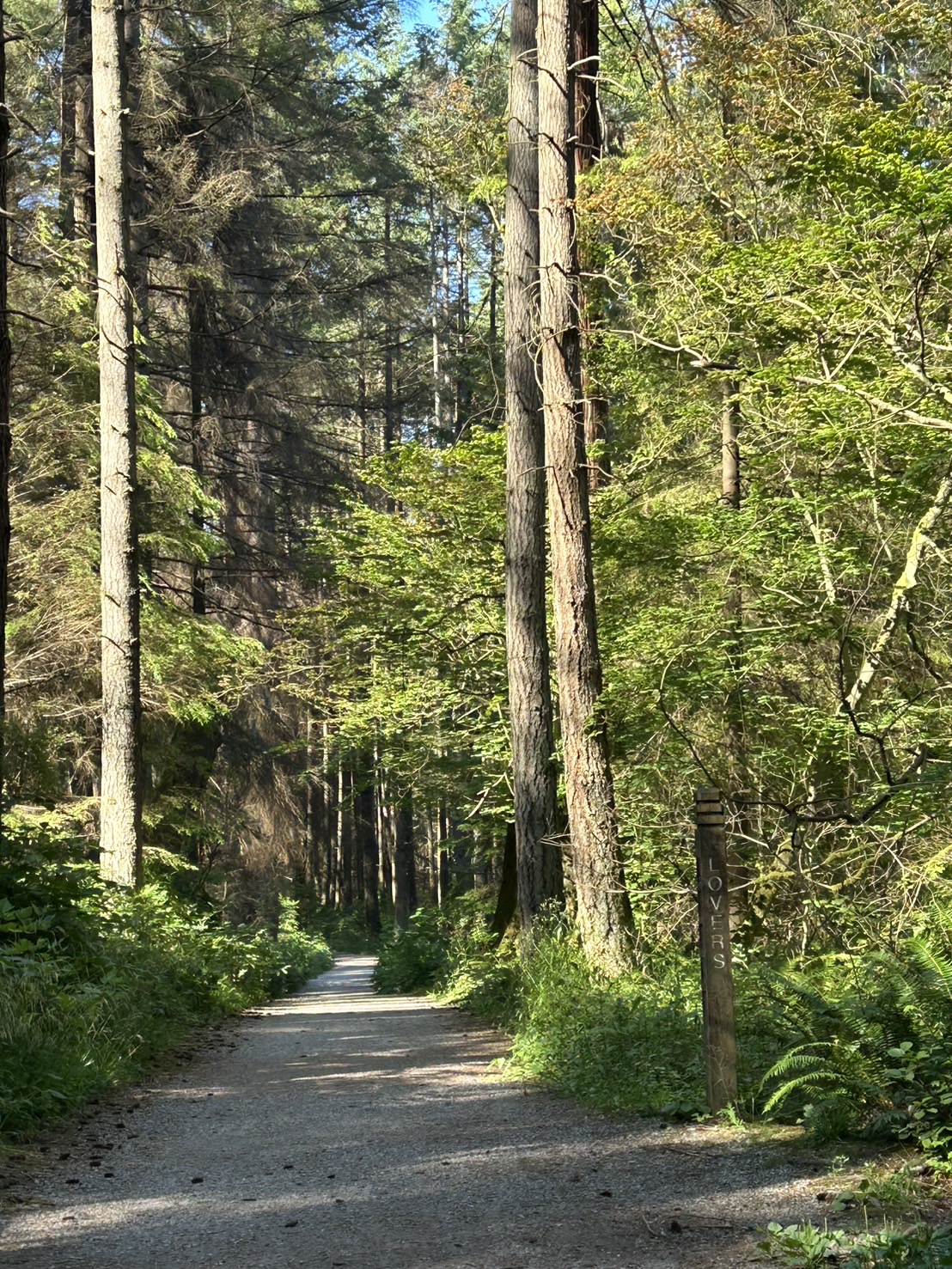 image_24403710_521972328772141282_1723951057511