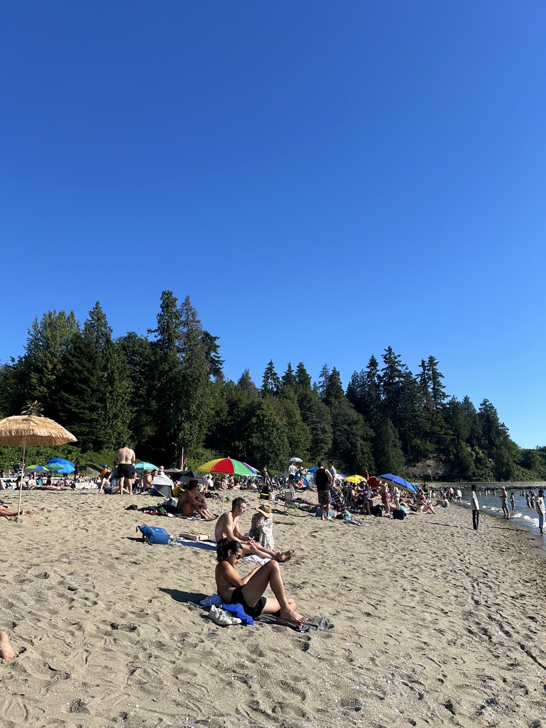 image_24403711_521972328989458579_1723951057502