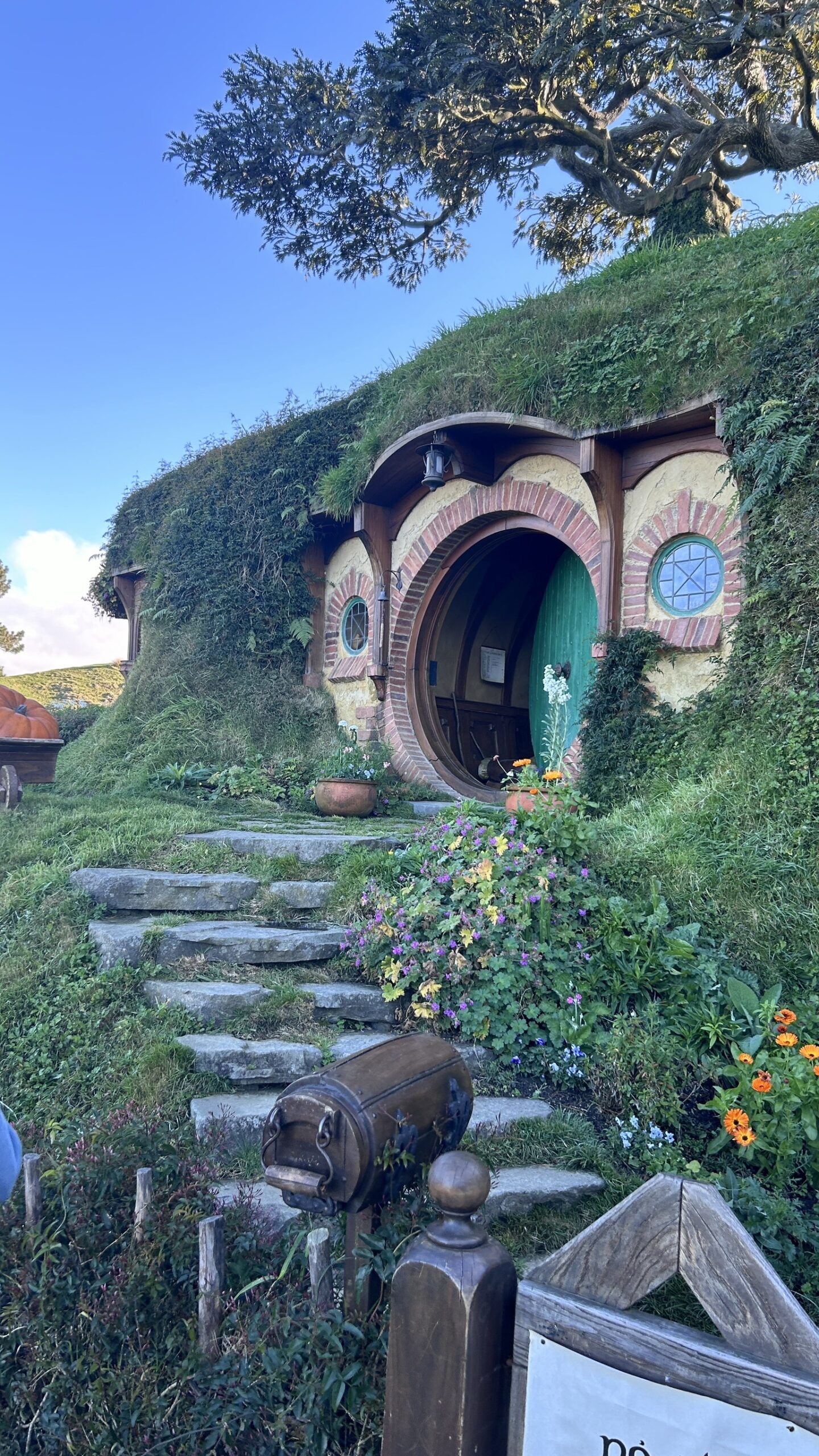 Ririさん36縦ツアー