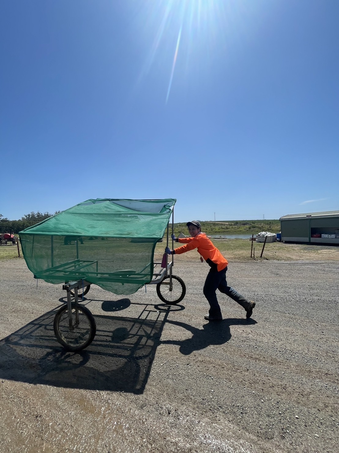 image_6801471_539264698198262051_1734258113037