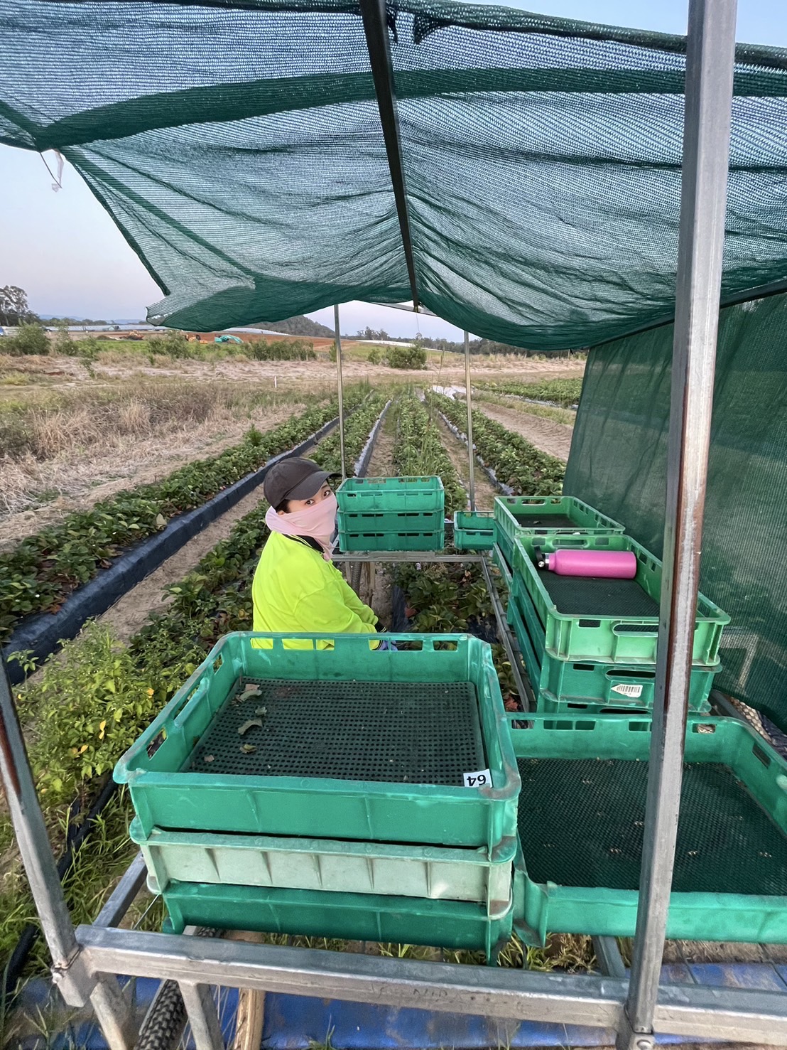 image_6801473_539264698970276117_1734258113603