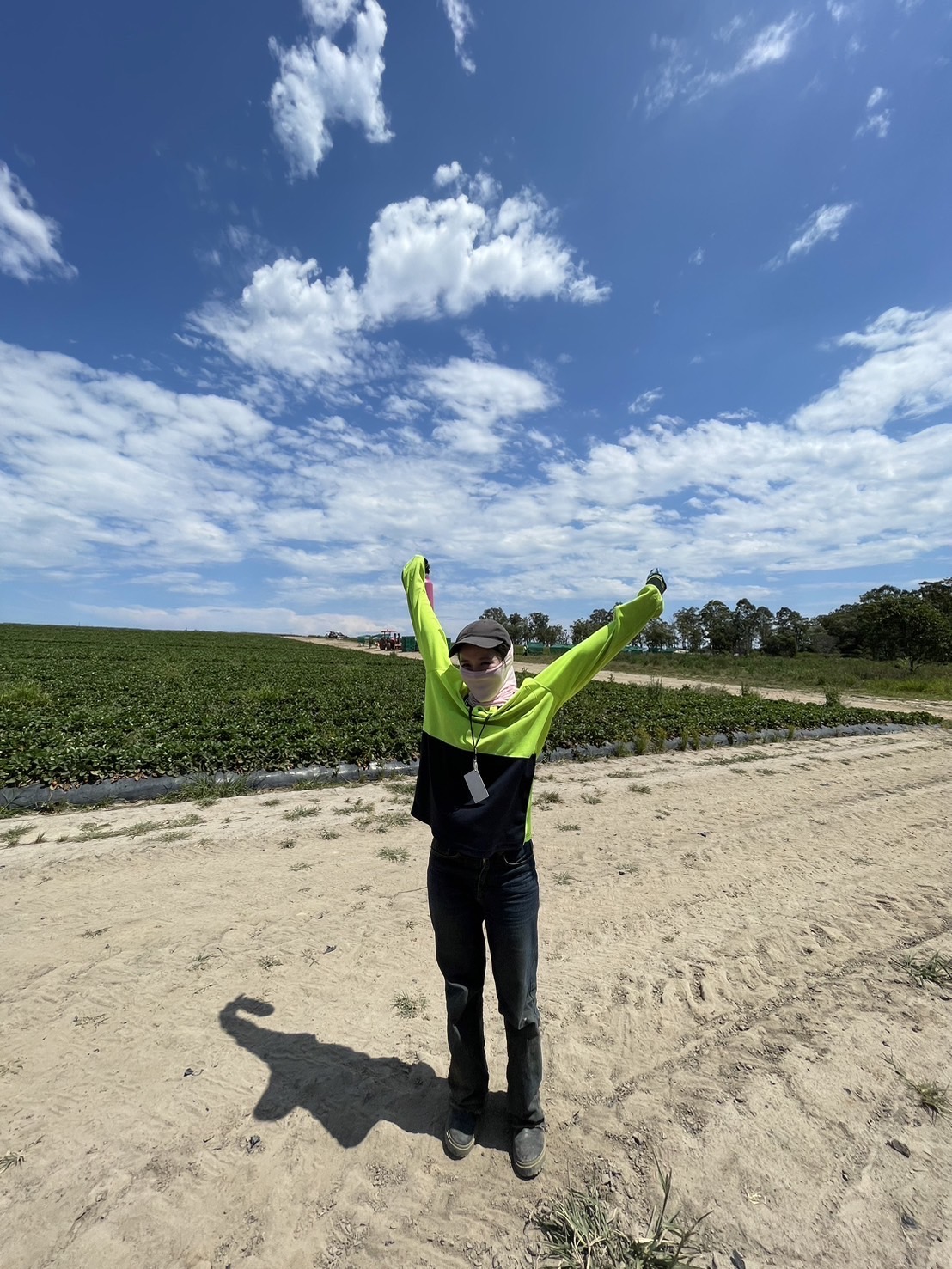 image_6801476_539264700077048387_1734258113702