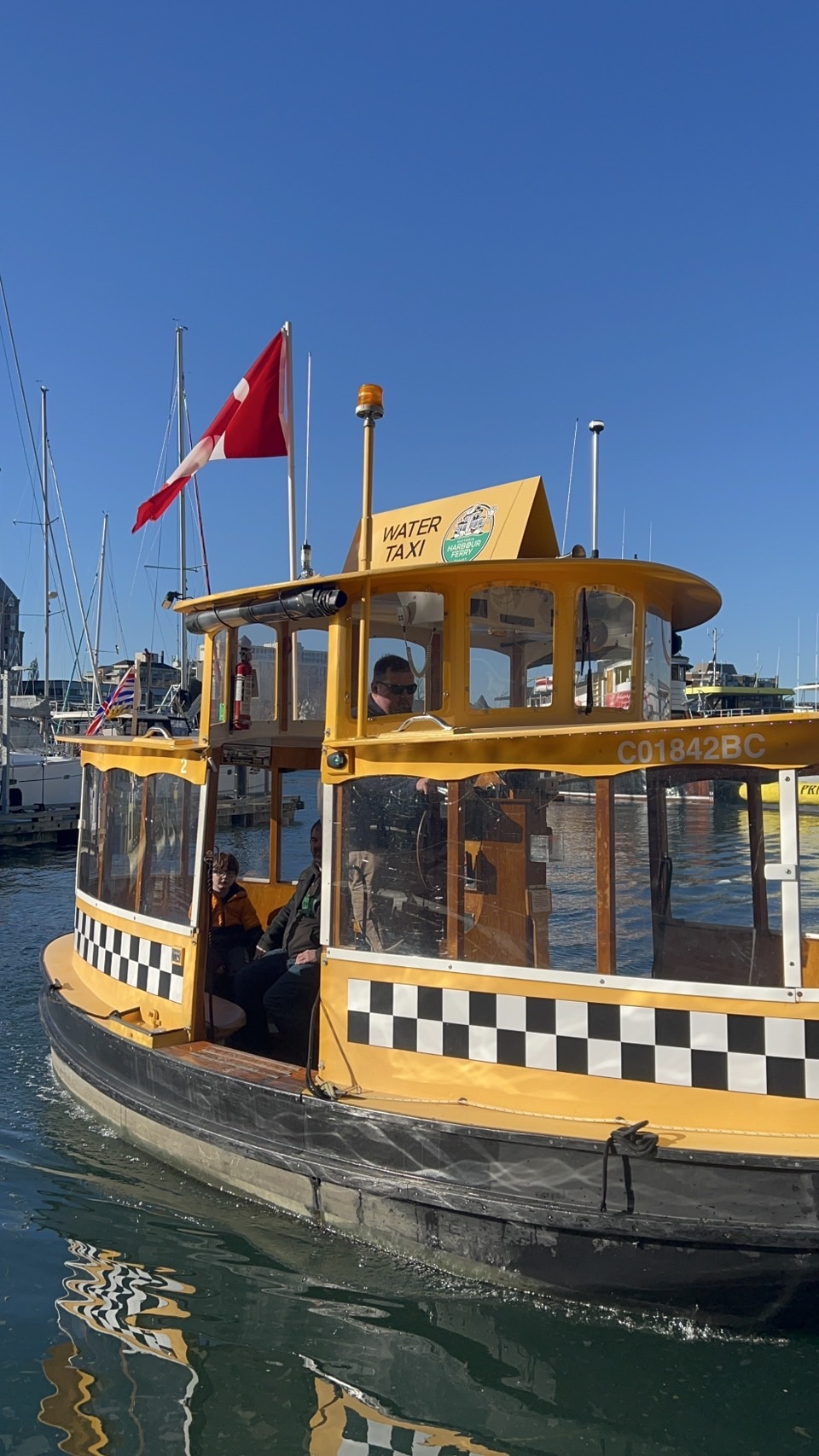 image_2417767_553746916929175793_1742890188440