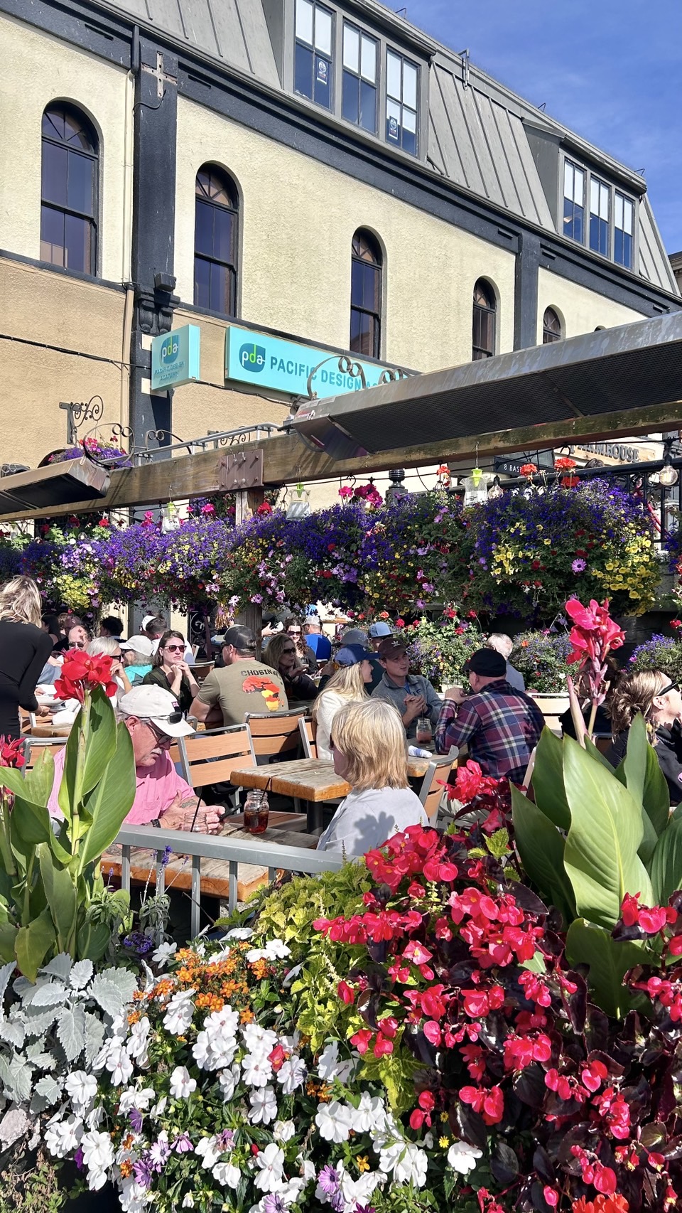 image_2417811_553746925888471607_1742890193538