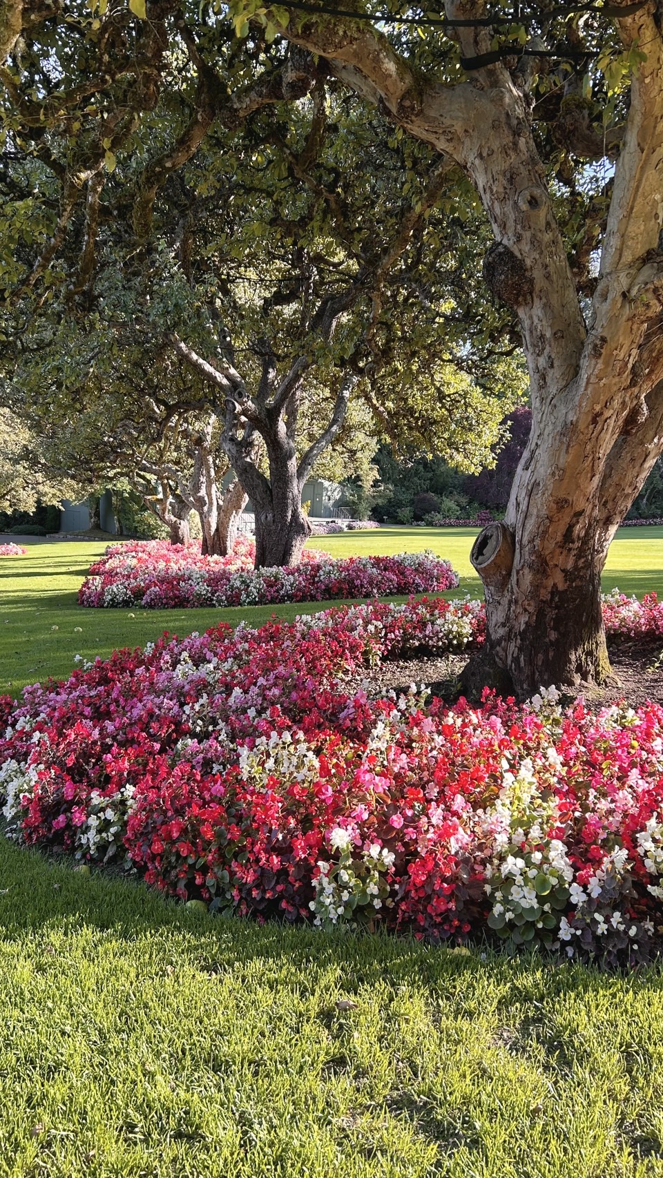 image_2417819_553746928270311700_1742890195065