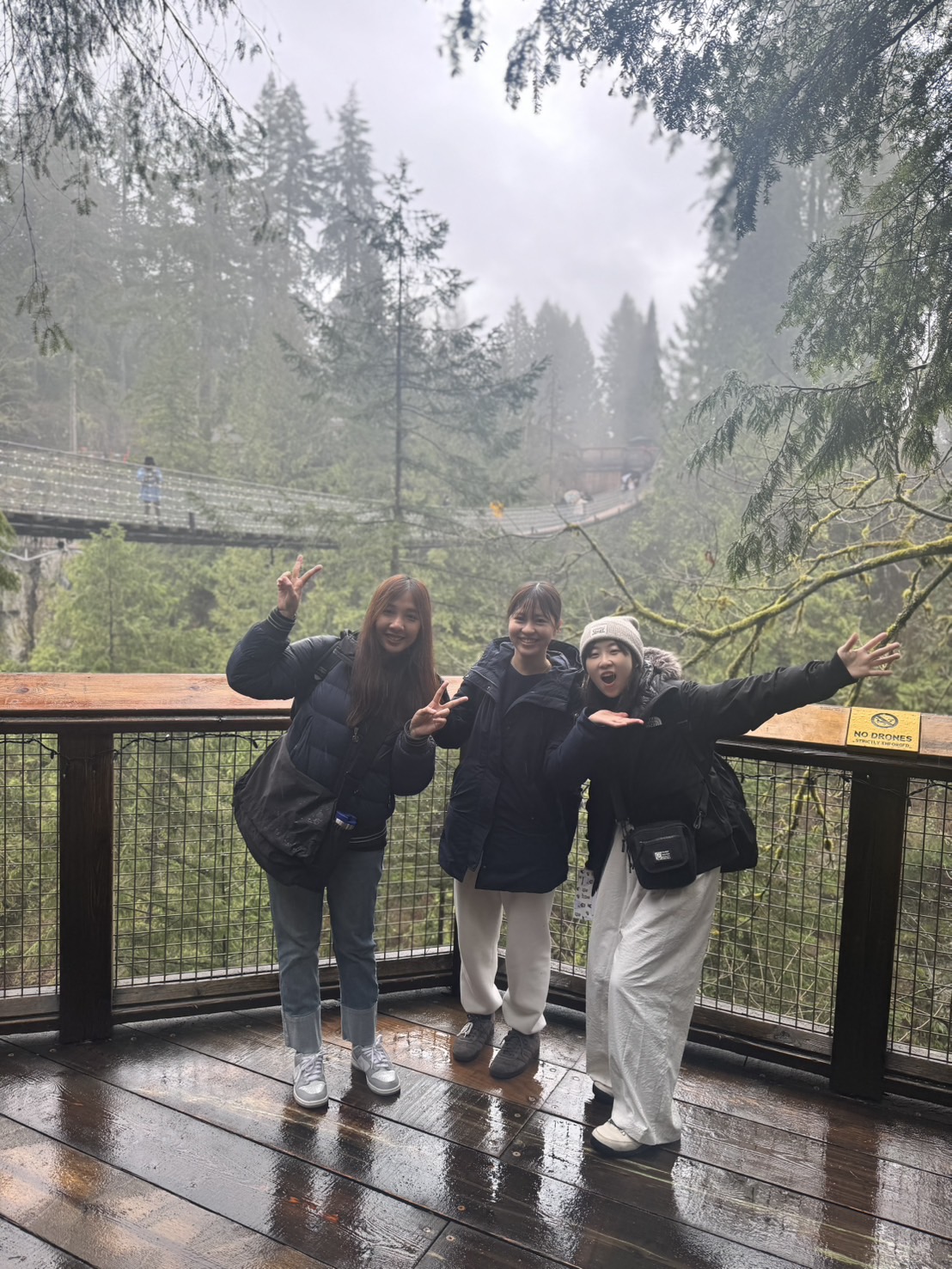 image_2417869_553746942883004785_1742890203674