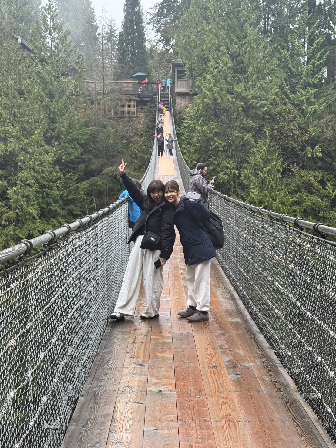 image_2417874_553746943772197511_1742890204196