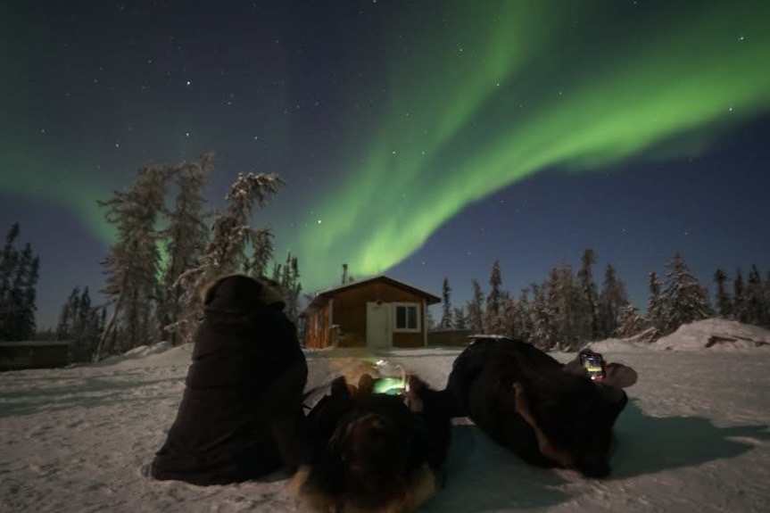 image_2419188_553747315471680111_1742890425358