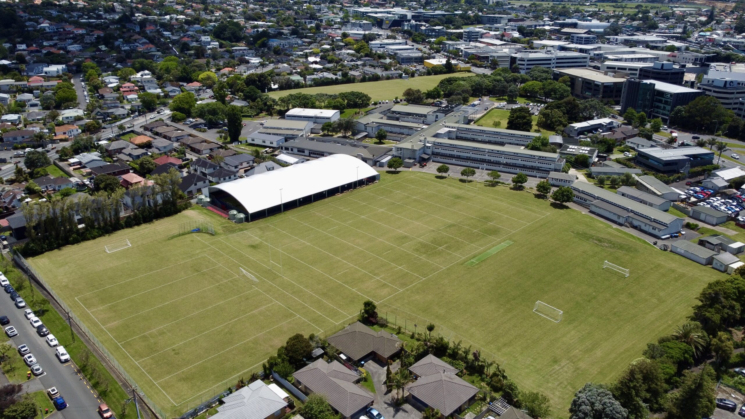 New Zealand Baseball Champions